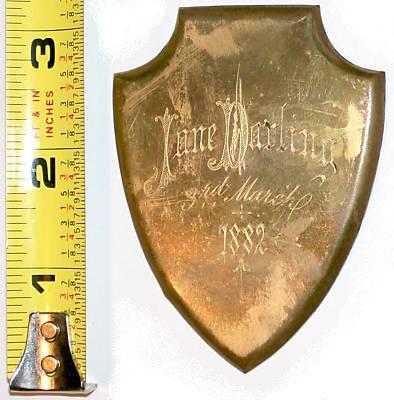 The Free Genealogy Death Record on the Coffin Plate of Jane Darling